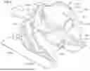Fig. 06 - ORGAN MODEL FOR MEDICAL DEVICE
