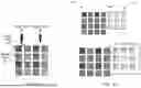 Fig. 09 - Display and AI (Artificial Intelligence) Methods for a Near-Eye Display System