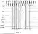Fig. 04 - GATE DRIVE CIRCUIT AND DISPLAY PANEL