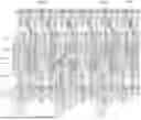 Fig. 01 - DISPLAY SUBSTRATE AND DISPLAY APPARATUS