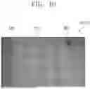 Fig. 09 - STAIN COMPENSATING SYSTEM AND STAIN COMPENSATING METHOD