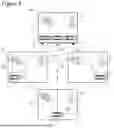Fig. 05 - Embedding Animation in Electronic Mail, Text Messages and Websites