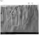Fig. 03 - Sound Amplification Block Made of Air-Permeable Material and Air-Absorbing Material and Having Layered Structure, and Manufacturing Method Thereof