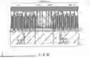 Fig. 49 - MEMORY DEVICE WITH MEMORY PILLAR INSIDE CONDUCTOR