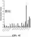 Fig. 09 - PLATFORM AND METHOD FOR DETERMINING CRITICAL TRANSCRIPTION FACTORS (TF) FOR TF-BASED HUMAN INDUCED PLURIPOTENT STEM CELL (HIPSC) DIFFERENTIATION
