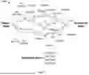 Fig. 08 - Ancestry Composition Determination