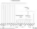 Fig. 41 - Ancestry Composition Determination