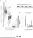 Fig. 28 - METHOD OF CHARACTERISING A DNA SAMPLE