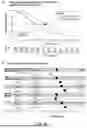 Fig. 41 - METHOD OF CHARACTERISING A DNA SAMPLE