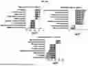 Fig. 07 - HEPATOCELLULAR CARCINOMA MOLECULAR SUBTYPE CLASSIFICATION AND SUBTYPE SPECIFIC TREATMENTS FOR HEPATOCELLULAR CARCINOMA