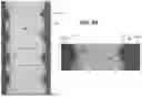 Fig. 24 - HYBRID TETHERS FOR MICRO-TRANSFER PRINTING