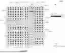 Fig. 09 - INTEGRATED CIRCUIT DEVICE AND SYSTEM