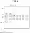 Fig. 09 - SEMICONDUCTOR PACKAGE AND METHOD OF FABRICATING THE SAME