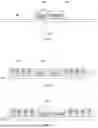 Fig. 08 - SEMICONDUCTOR PACAKGE AND METHOD FOR FORMING THE SAME