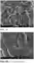 Fig. 06 - CATHODE ACTIVE MATERIAL HAVING CONTROLLED RHEOLOGICAL PROPERTIES FOR A LITHIUM SECONDARY BATTERY