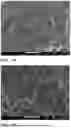 Fig. 07 - CATHODE ACTIVE MATERIAL HAVING CONTROLLED RHEOLOGICAL PROPERTIES FOR A LITHIUM SECONDARY BATTERY
