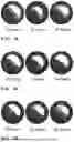 Fig. 09 - CATHODE ACTIVE MATERIAL HAVING CONTROLLED RHEOLOGICAL PROPERTIES FOR A LITHIUM SECONDARY BATTERY
