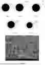 Fig. 02 - CATHODE LITHIUM-SUPPLEMENTING ADDITIVE AND PREPARATION METHOD AND APPLICATION THEREOF