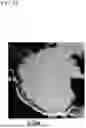 Fig. 04 - CATHODE ACTIVE MATERIAL FOR ALL SOLID BATTERY, AND MANUFACTURING METHOD THEREFOR