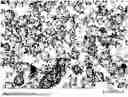 Fig. 01 - CATHODE ACTIVE MATERIAL FOR LITHIUM SECONDARY BATTERY, METHOD OF PREPARING THE SAME AND LITHIUM SECONDARY BATTERY INCLUDING THE SAME