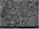 Fig. 01 - ANODE MATERIAL, PREPARATION METHOD THEREOF, AND LITHIUM ION BATTERY
