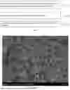 Fig. 02 - ANODE MATERIAL, PREPARATION METHOD THEREOF, AND LITHIUM ION BATTERY