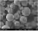 Fig. 01 - NEGATIVE ELECTRODE ACTIVE MATERIAL FOR LITHIUM SECONDARY BATTERY, LITHIUM SECONDARY BATTERY INCLUDING SAME, AND METHOD FOR PRODUCING SAME