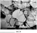Fig. 12 - NEGATIVE ELECTRODE ACTIVE MATERIAL FOR LITHIUM SECONDARY BATTERY, LITHIUM SECONDARY BATTERY INCLUDING SAME, AND METHOD FOR PRODUCING SAME