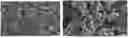 Fig. 01 - MULTI-STAGE LITHIATION FOR CATHODE MATERIAL