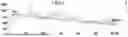 Fig. 05 - POSITIVE ELECTRODE AND LITHIUM SECONDARY BATTERY INCLUDING THE SAME