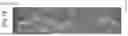 Fig. 06 - POSITIVE ELECTRODE AND LITHIUM SECONDARY BATTERY INCLUDING THE SAME