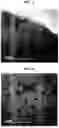 Fig. 03 - POSITIVE ELECTRODE ACTIVE MATERIAL AND LITHIUM SECONDARY BATTERY COMPRISING THE SAME