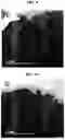 Fig. 06 - POSITIVE ELECTRODE ACTIVE MATERIAL AND LITHIUM SECONDARY BATTERY COMPRISING THE SAME
