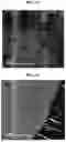 Fig. 07 - POSITIVE ELECTRODE ACTIVE MATERIAL AND LITHIUM SECONDARY BATTERY COMPRISING THE SAME