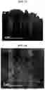 Fig. 08 - POSITIVE ELECTRODE ACTIVE MATERIAL AND LITHIUM SECONDARY BATTERY COMPRISING THE SAME