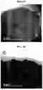Fig. 09 - POSITIVE ELECTRODE ACTIVE MATERIAL AND LITHIUM SECONDARY BATTERY COMPRISING THE SAME