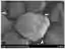Fig. 01 - Lithium Secondary Battery