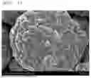 Fig. 03 - Lithium Secondary Battery