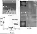 Fig. 09 - METHODS OF FORMING PIEZOELECTRIC LAYERS HAVING ALTERNATING POLARIZATIONS