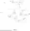 Fig. 02 - PAGING RECEPTION AND TRANSMISSION