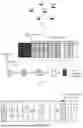 Fig. 03 - POSITIONING METHODS AND APPARATUSES FOR RELATIVE LOCATION, DEVICE AND MEDIUM