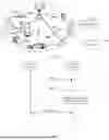 Fig. 02 - INFORMATION TRANSMISSION METHOD AND COMMUNICATION APPARATUS