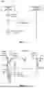 Fig. 07 - COLLISION HANDLING FOR INTERRUPTIONS AND DISCONTINUOUS RECEPTION OPERATION