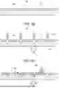 Fig. 06 - FLEXIBLE TRANSPARENT WIRING BOARD AND METHOD FOR MANUFACTURING FLEXIBLE TRANSPARENT WIRING BOARD