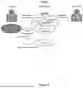 Fig. 03 - METHOD, DEVICE AND SYSTEM FOR DETERMINING A STATE OF HEALTH OF A PATIENT