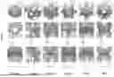 Fig. 02 - Porous-Based Bone Replacement Materials Formed By Triply Periodic Minimal Surface Structure