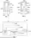 Fig. 02 - ADAPTIVE LIMB AND JOINT STABILIZATION SYSTEM
