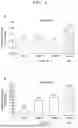 Fig. 06 - PEPTIDE HAVING ACTIVITY OF IMPROVING STATE OF SKIN, AND USE THEREOF