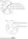 Fig. 02 - METHODS FOR EXTRACTING ALGINATE BIOMASS AND RELATED COMPOSITIONS