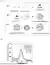 Fig. 02 - COMPOSITION COMPRISING HYBRID EXOSOME